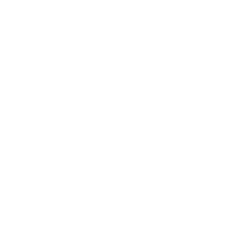 Automobile icon in white