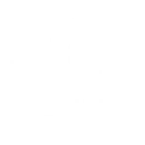 ecommerceicon