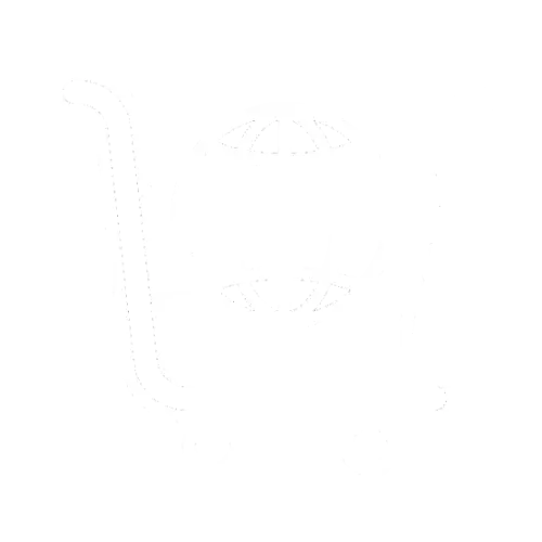 E-commerce SEO