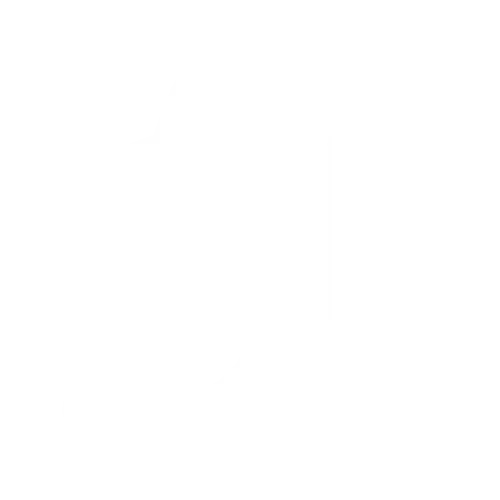 Shopify SEO