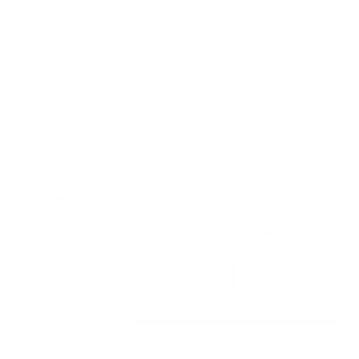 Discovery & Consultation