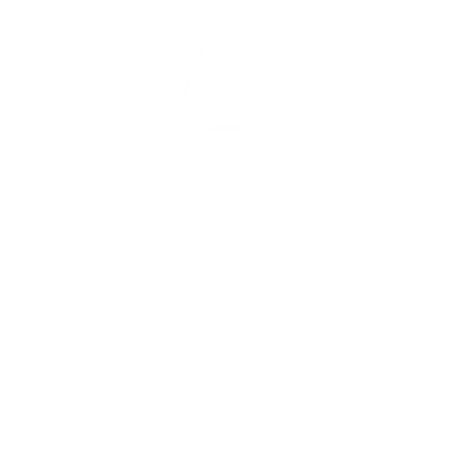 Post-Launch Support