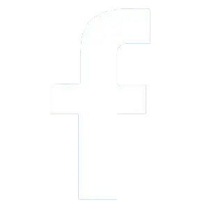 footer-meta-white