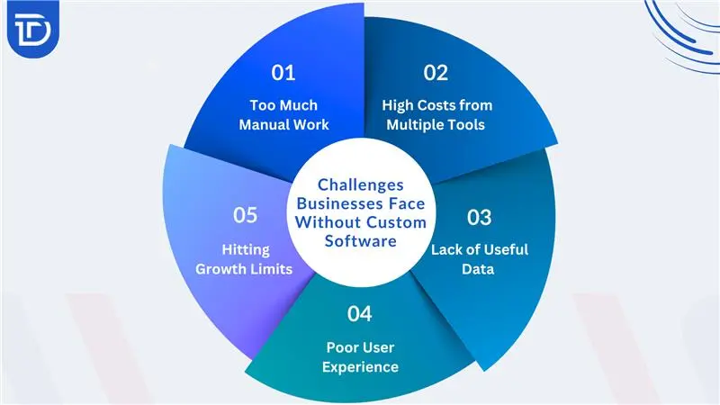 Challenges Businesses Face Without Custom Software