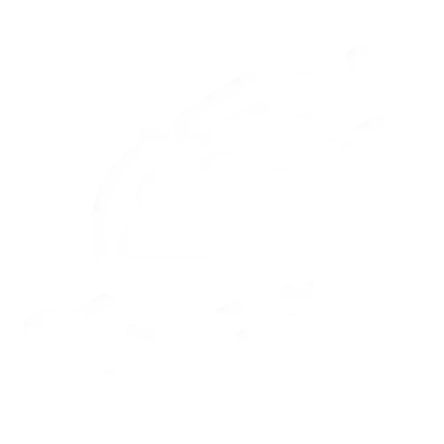 E-commerce integrate