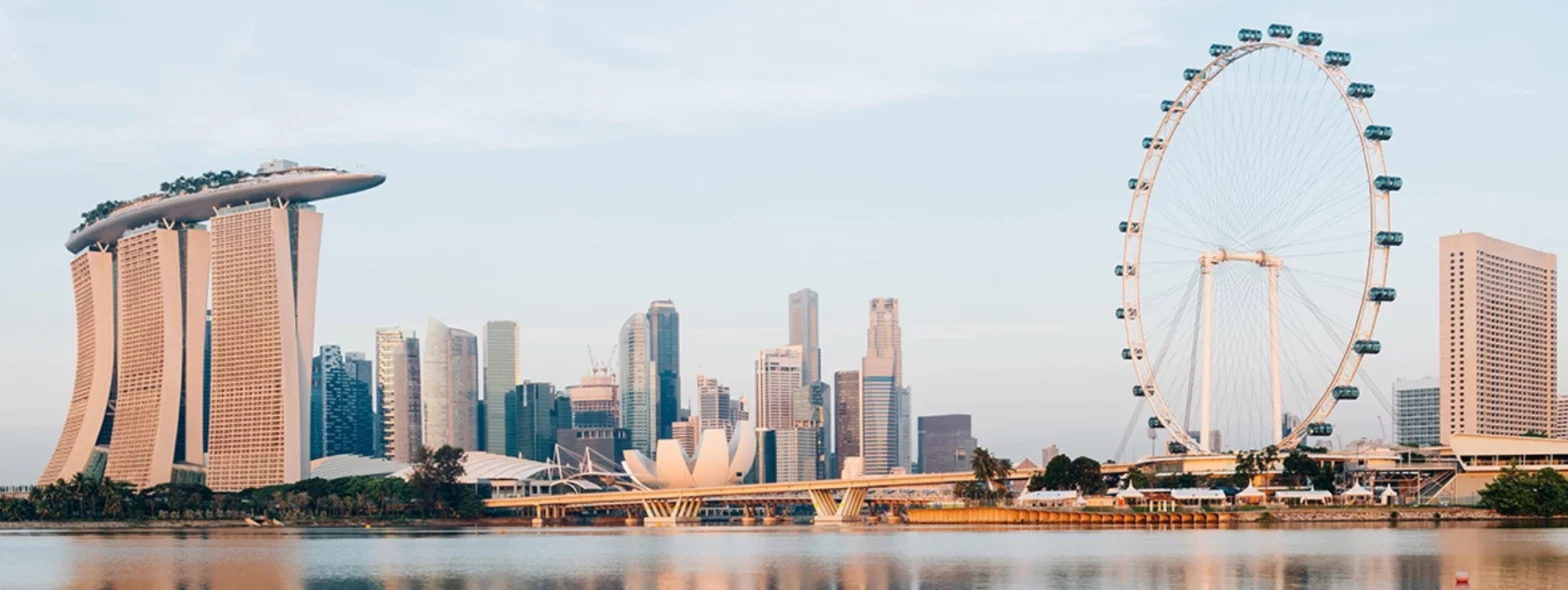IT company in Singapore