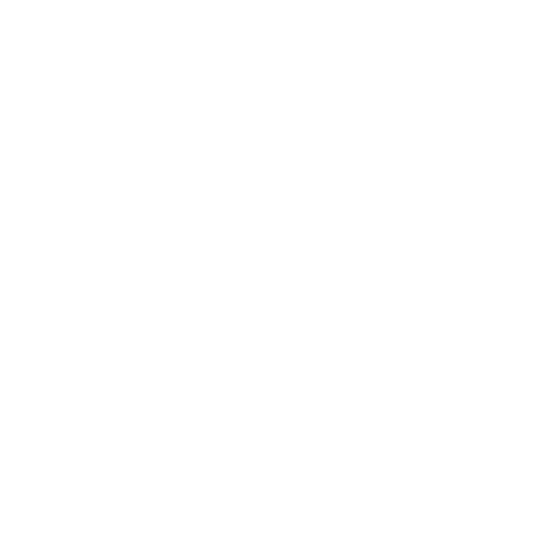Custom API