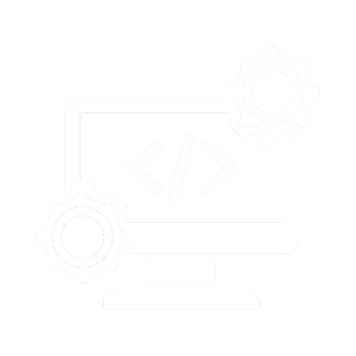 custom software