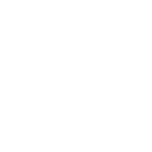 Ecommerce icon