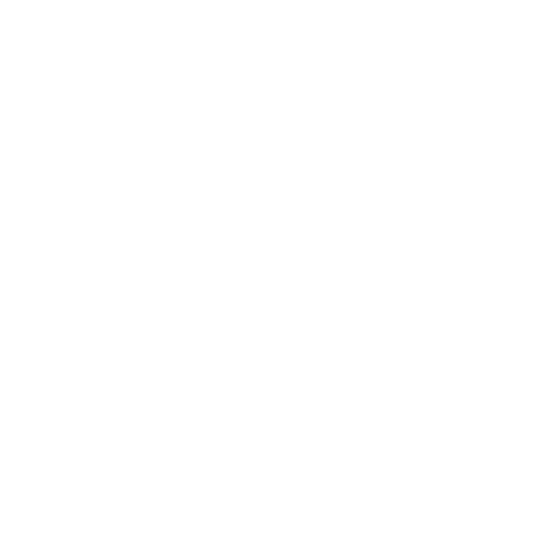 FinTech icon in white