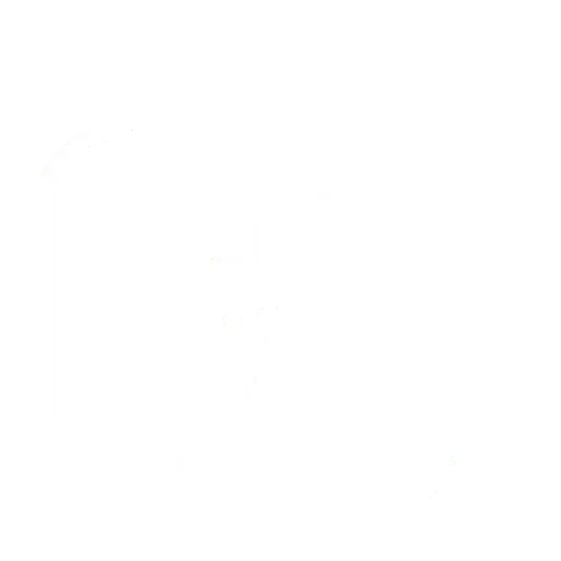 Strategy Architecture